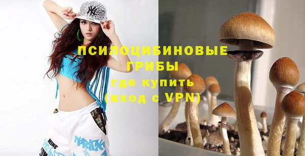 прущие грибы Алзамай