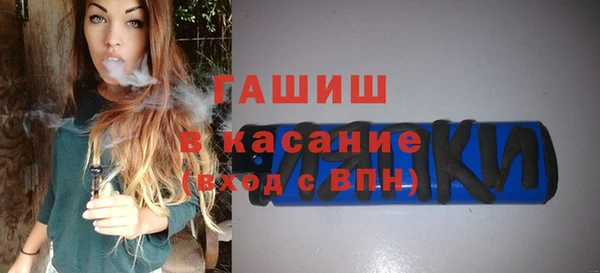 мдпв Инсар