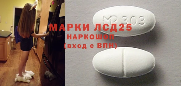прущие грибы Алзамай