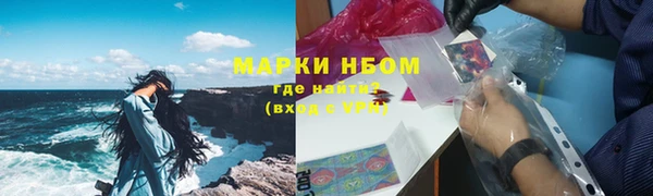 прущие грибы Алзамай