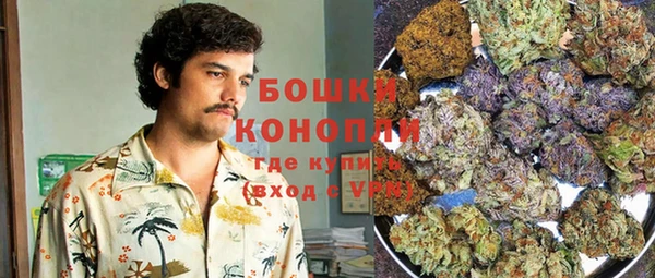 прущие грибы Алзамай