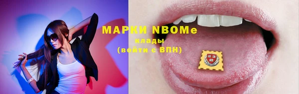 прущие грибы Алзамай
