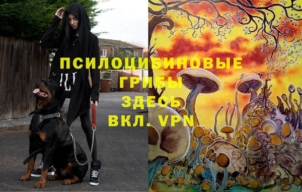 mdpv Алексин